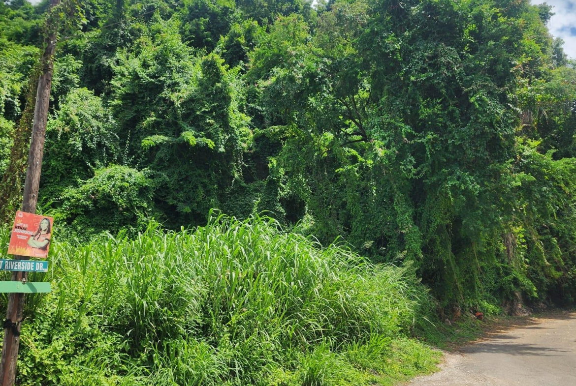 Third image of Lot 140b Belgrade, East Riverside in Havendale, St. Andrew, Jamaica - property is For Sale