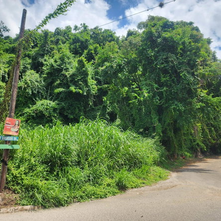 Third image of Lot 140b Belgrade, East Riverside in Havendale, St. Andrew, Jamaica - property is For Sale
