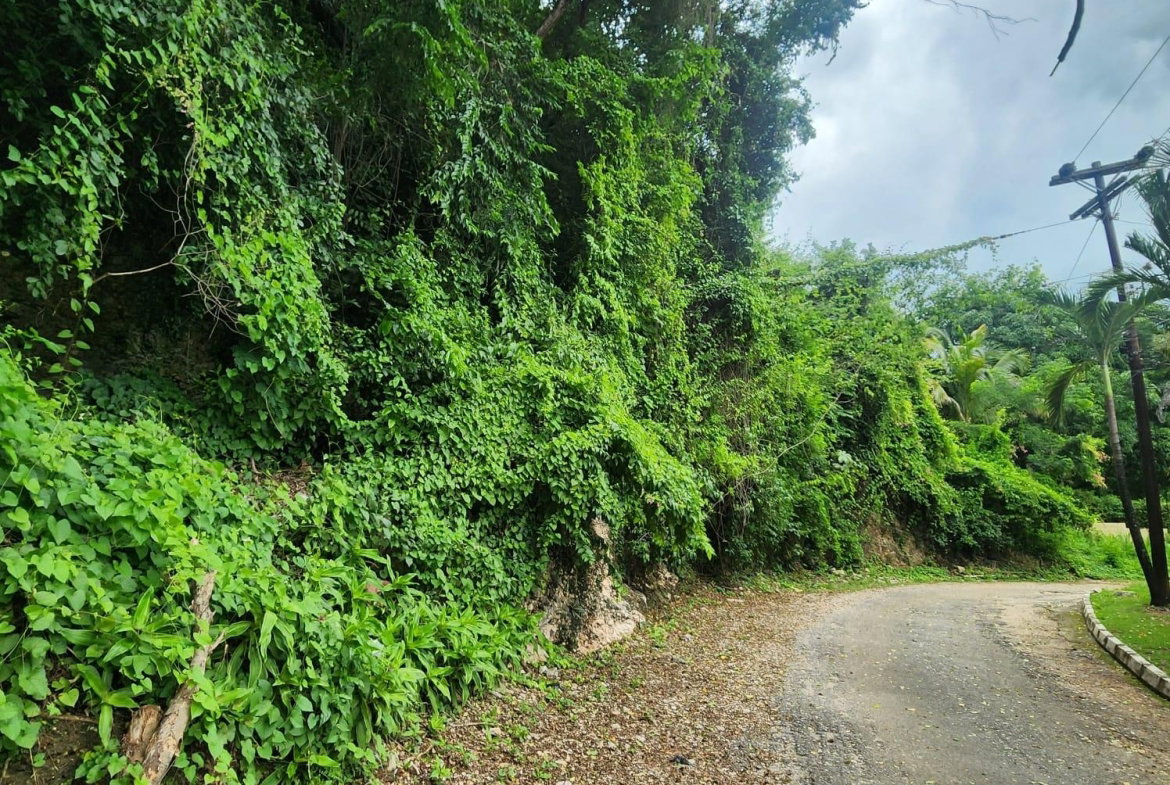 Fourth image of Lot 140b Belgrade, East Riverside in Havendale, St. Andrew, Jamaica - property is For Sale