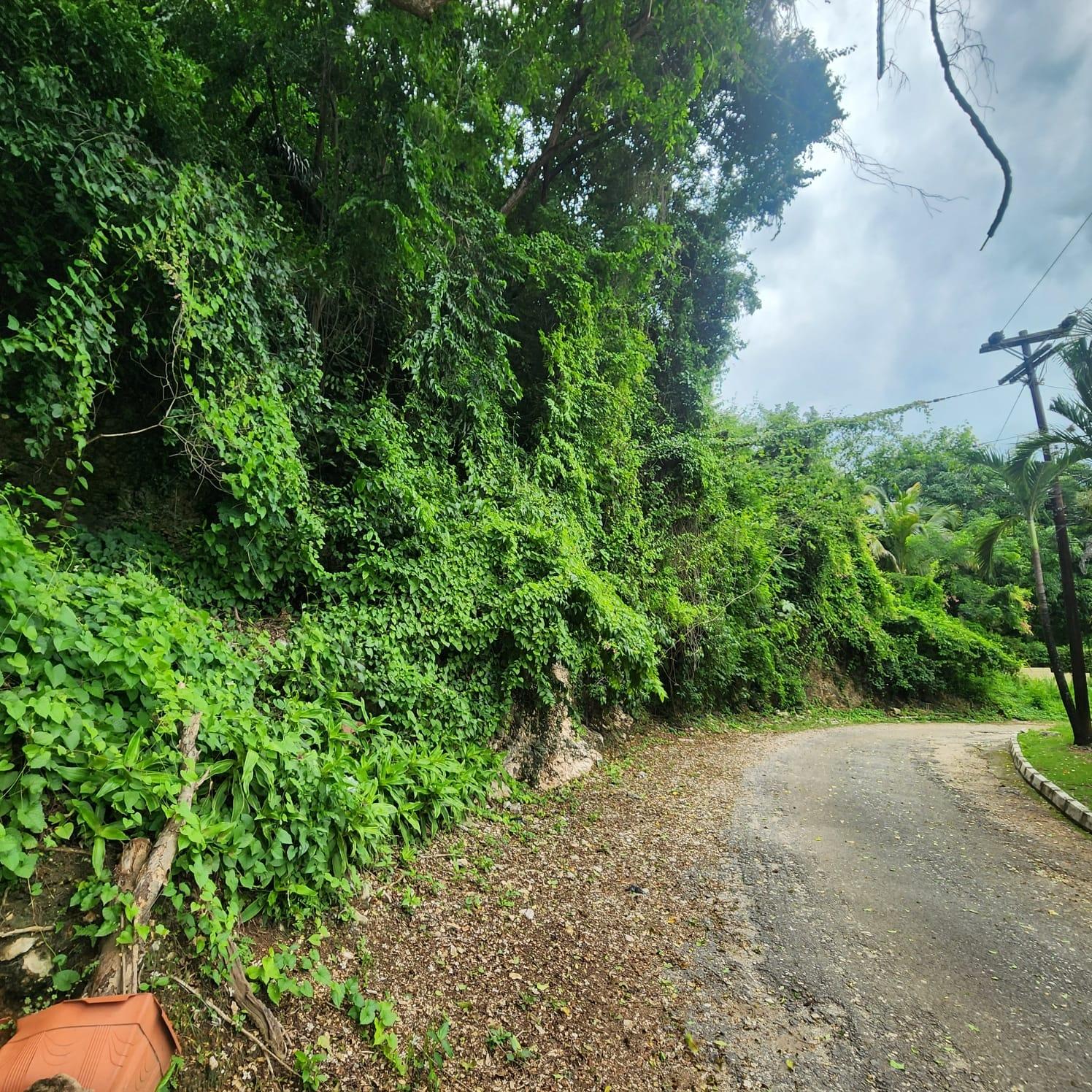 Prime-Residential-Lot-for-Sale-in-Havendale-Kingston-19 Fourth image of Lot 140b Belgrade, East Riverside in Havendale, St. Andrew, Jamaica - property is For Sale