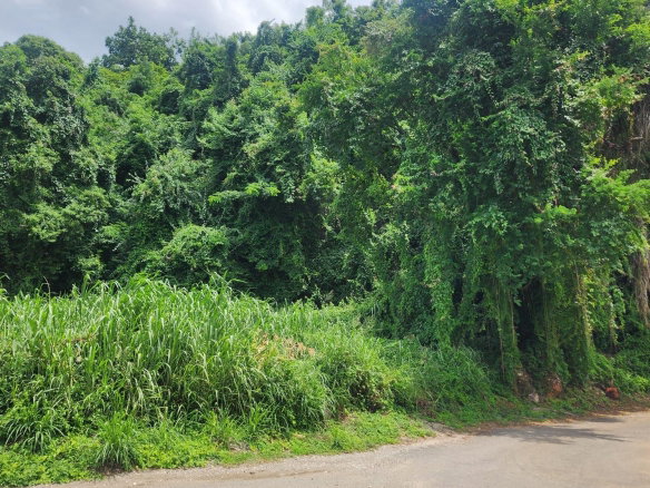 First image of Lot 140b Belgrade, East Riverside in Havendale, St. Andrew, Jamaica - property is For Sale