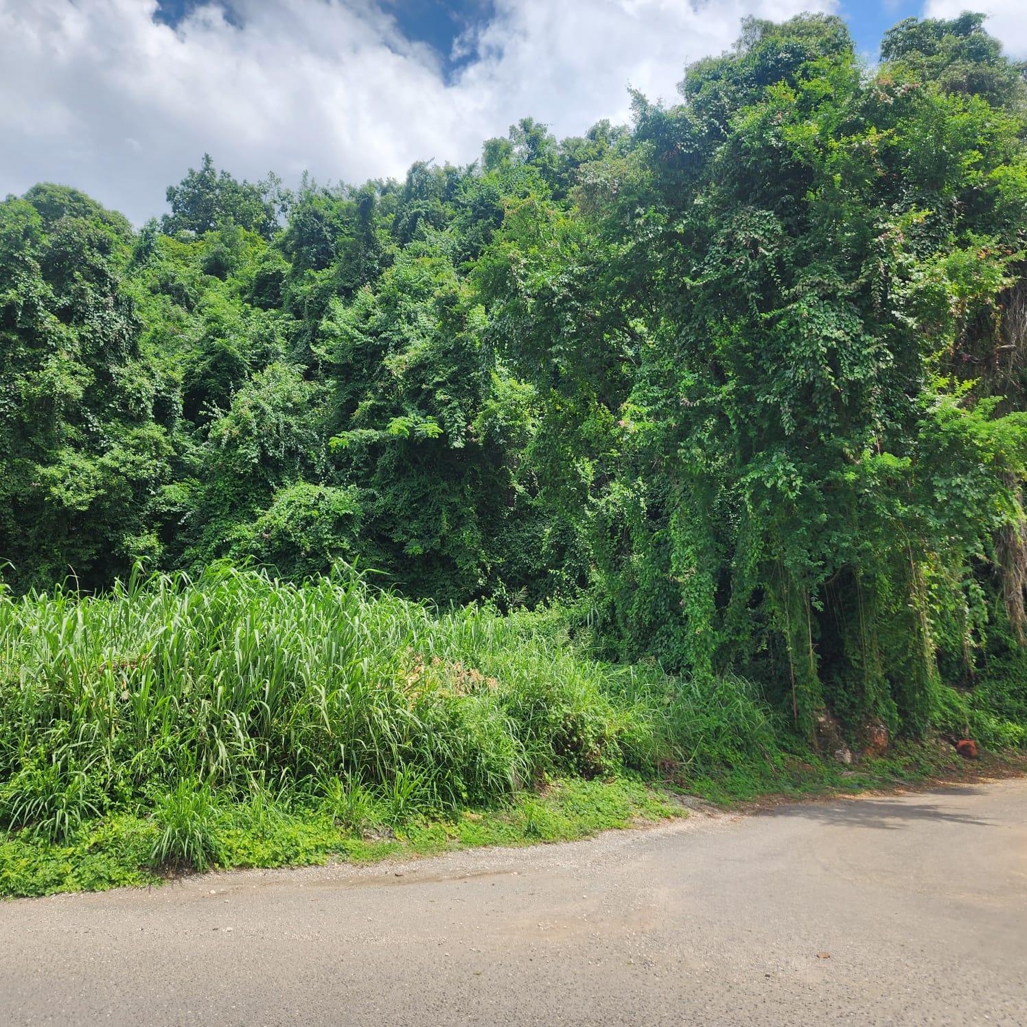 Prime-Residential-Lot-for-Sale-in-Havendale-Kingston-19 First image of Lot 140b Belgrade, East Riverside in Havendale, St. Andrew, Jamaica - property is For Sale