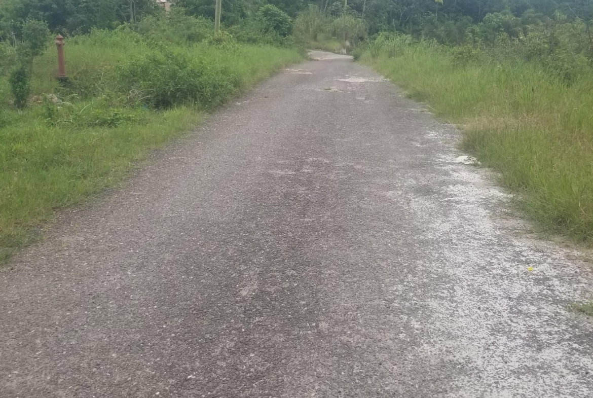 Third image of Lot 4 Waltham in Mandeville, Manchester, Jamaica - property is For Sale