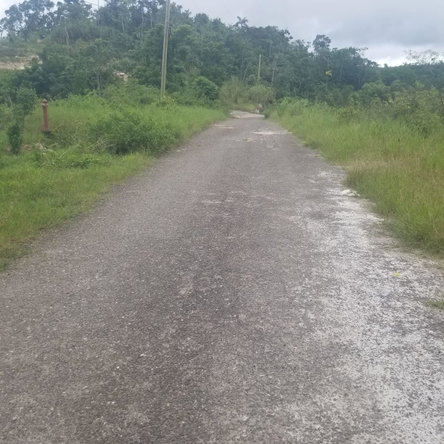 Third image of Lot 4 Waltham in Mandeville, Manchester, Jamaica - property is For Sale