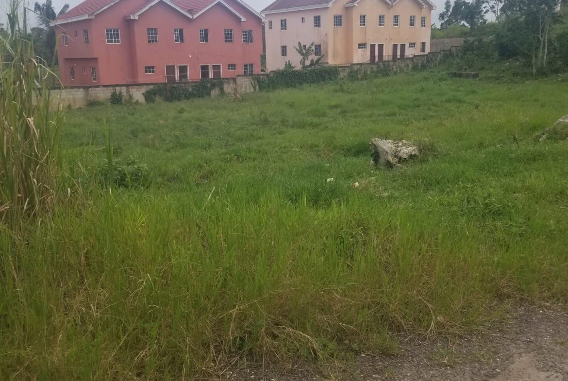 Fourth image of Lot 4 Waltham in Mandeville, Manchester, Jamaica - property is For Sale