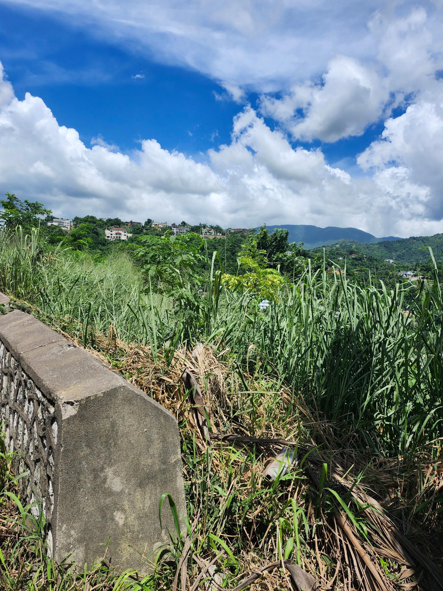 Second image of Lot 12 Mountain Slope, Kingston in Kingston 8, St. Andrew, Jamaica - property is For Sale