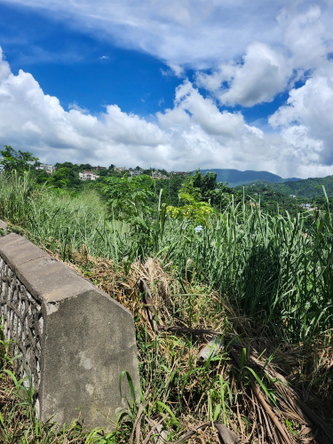 Second image of Lot 12 Mountain Slope, Kingston in Kingston 8, St. Andrew, Jamaica - property is For Sale
