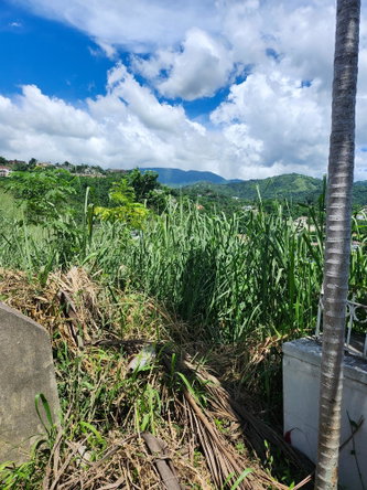 Third image of Lot 12 Mountain Slope, Kingston in Kingston 8, St. Andrew, Jamaica - property is For Sale