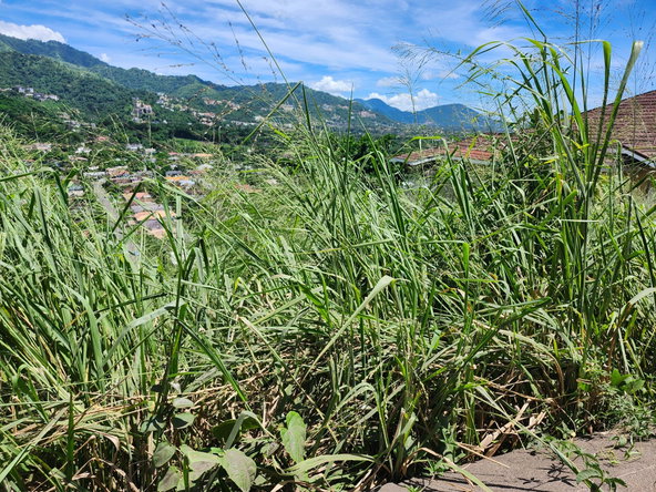 Fifth image of Lot 12 Mountain Slope, Kingston in Kingston 8, St. Andrew, Jamaica - property is For Sale