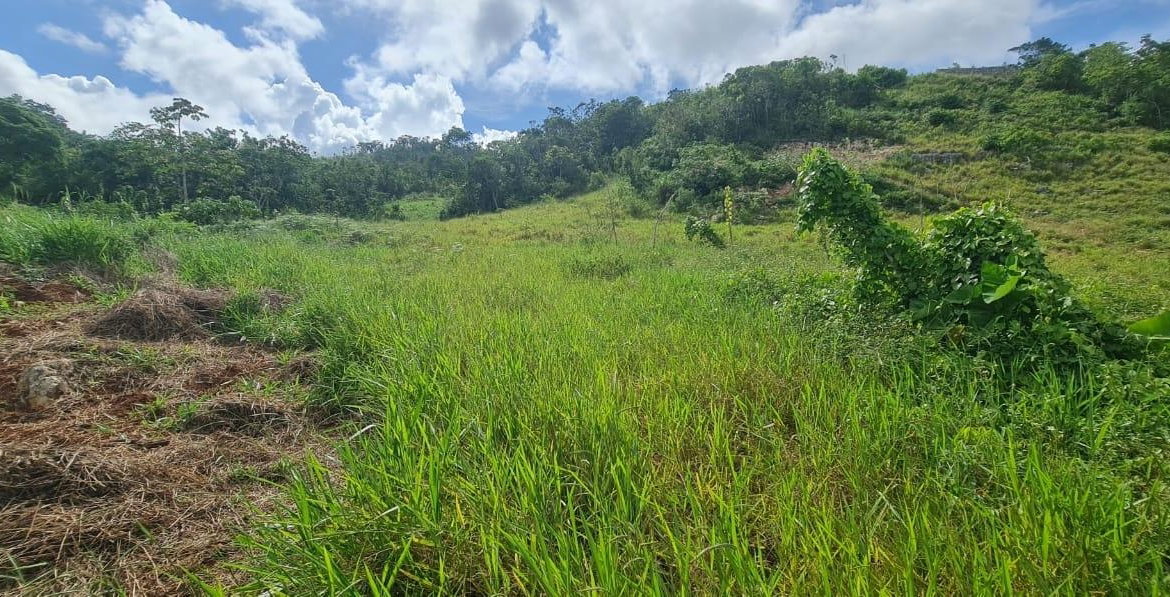Eleventh image of 6 Hatfield in Mandeville, Manchester, Jamaica - property is For Sale