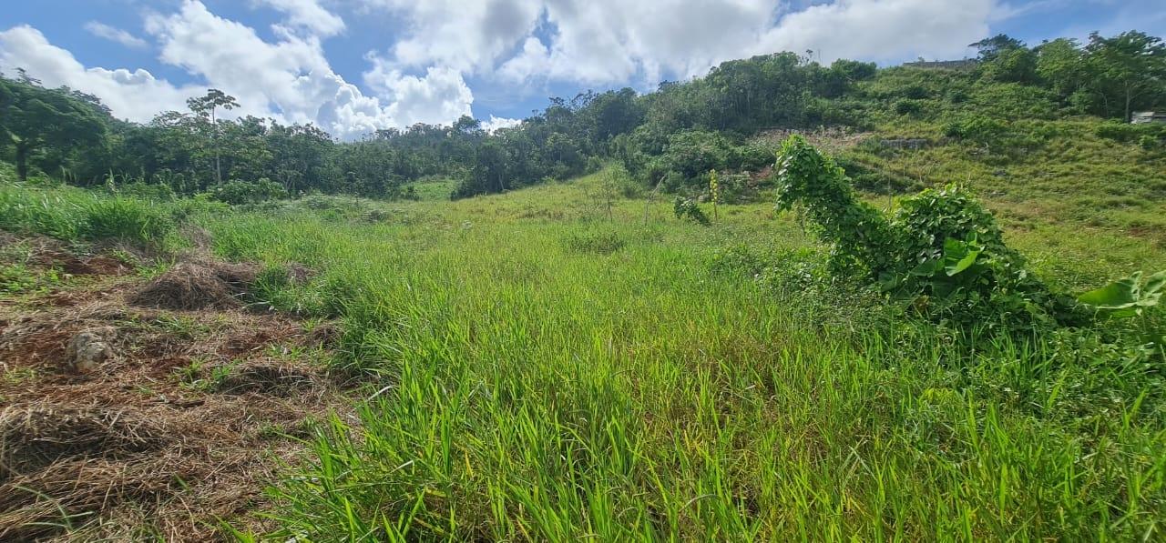 Prime-Residential-Lot-for-Sale-in-Manchester-Jamaica-2-Acres Eleventh image of 6 Hatfield in Mandeville, Manchester, Jamaica - property is For Sale