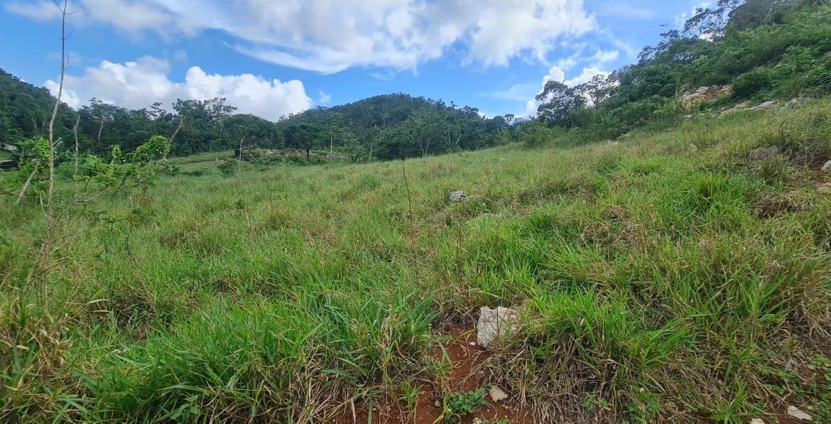 Twelfth image of 6 Hatfield in Mandeville, Manchester, Jamaica - property is For Sale