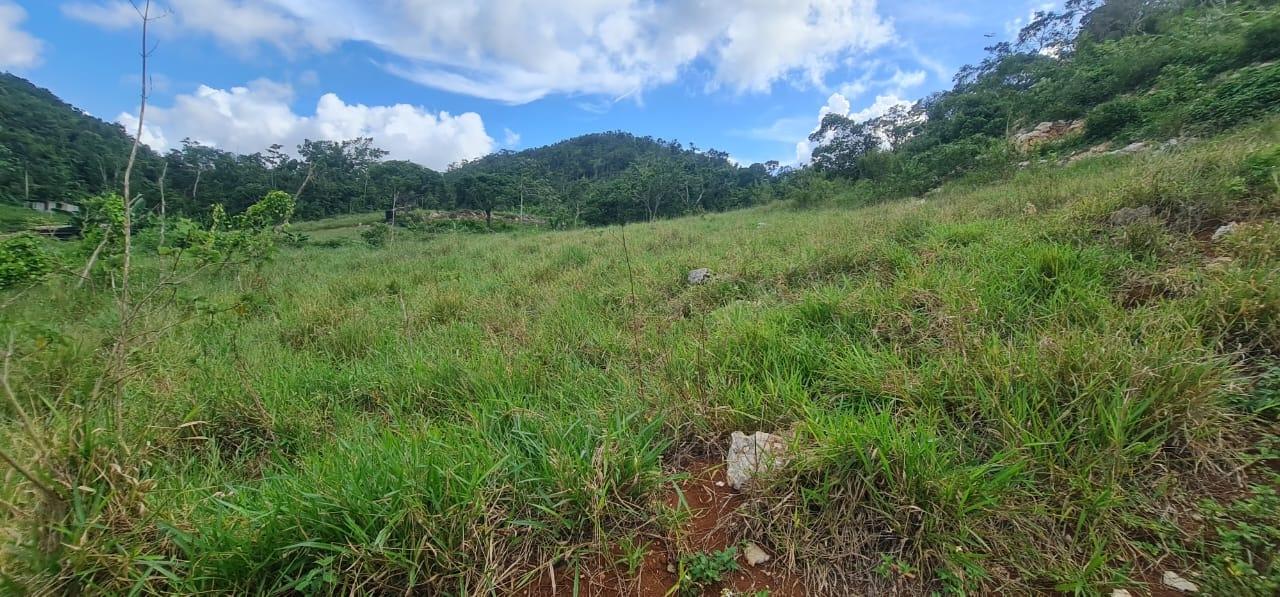 Prime-Residential-Lot-for-Sale-in-Manchester-Jamaica-2-Acres Twelfth image of 6 Hatfield in Mandeville, Manchester, Jamaica - property is For Sale