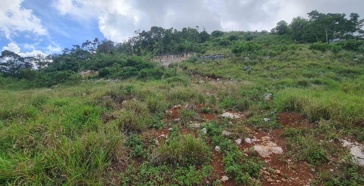 Thirteenth image of 6 Hatfield in Mandeville, Manchester, Jamaica - property is For Sale