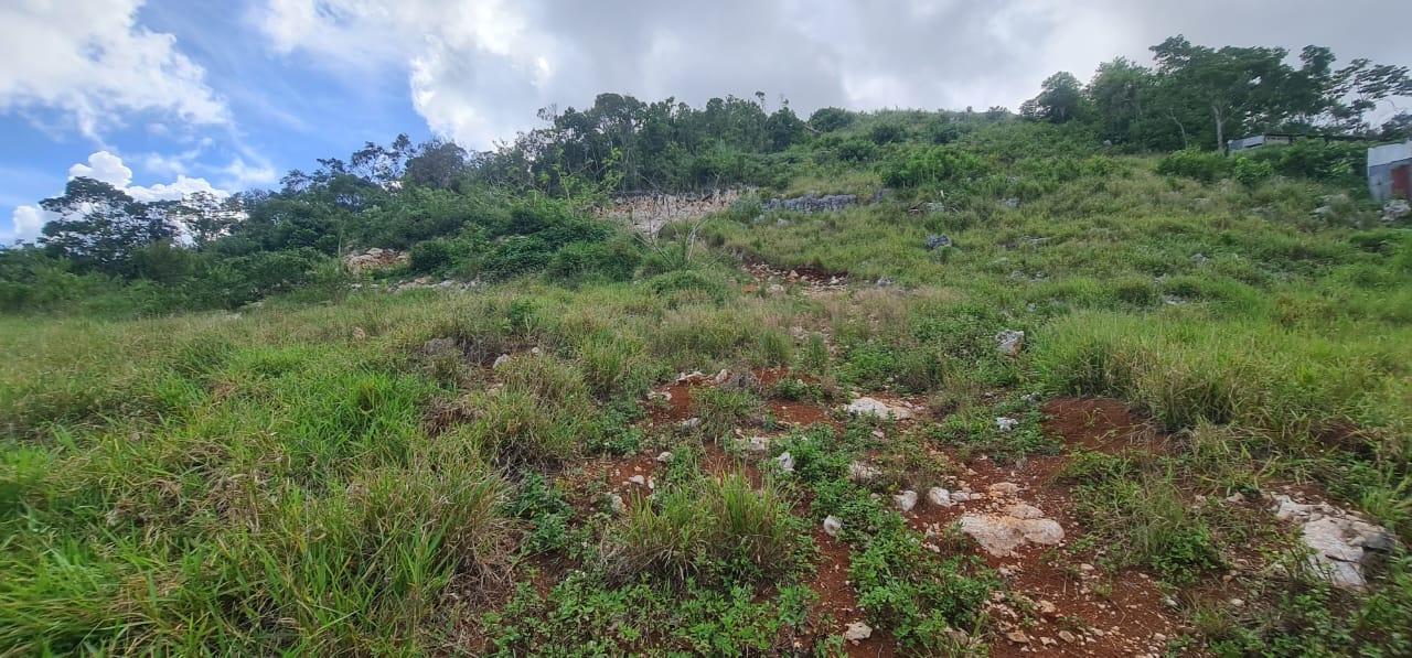 Prime-Residential-Lot-for-Sale-in-Manchester-Jamaica-2-Acres Thirteenth image of 6 Hatfield in Mandeville, Manchester, Jamaica - property is For Sale