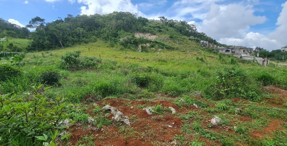 Fifteenth image of 6 Hatfield in Mandeville, Manchester, Jamaica - property is For Sale