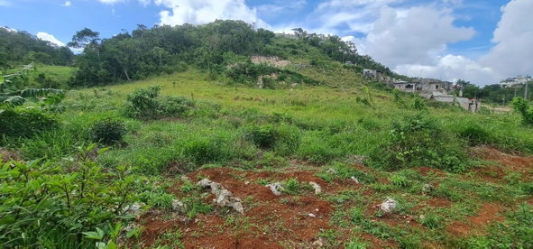Fifteenth image of 6 Hatfield in Mandeville, Manchester, Jamaica - property is For Sale