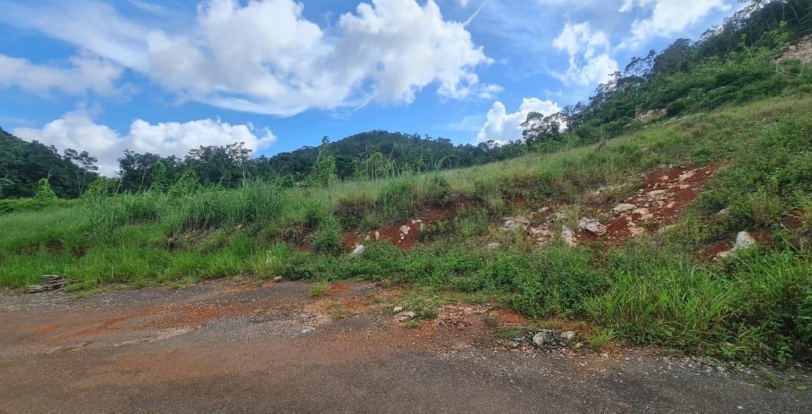 Sixth image of 6 Hatfield in Mandeville, Manchester, Jamaica - property is For Sale