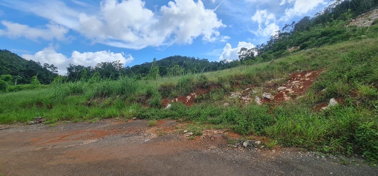 Prime-Residential-Lot-for-Sale-in-Manchester-Jamaica-2-Acres Sixth image of 6 Hatfield in Mandeville, Manchester, Jamaica - property is For Sale