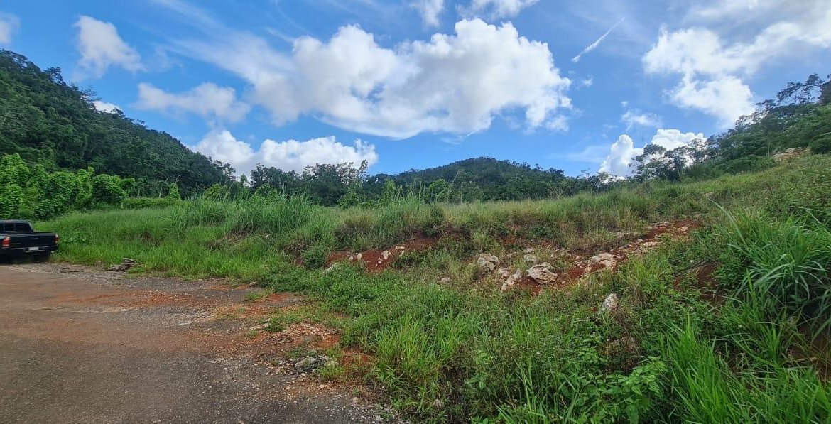 Seventh image of 6 Hatfield in Mandeville, Manchester, Jamaica - property is For Sale