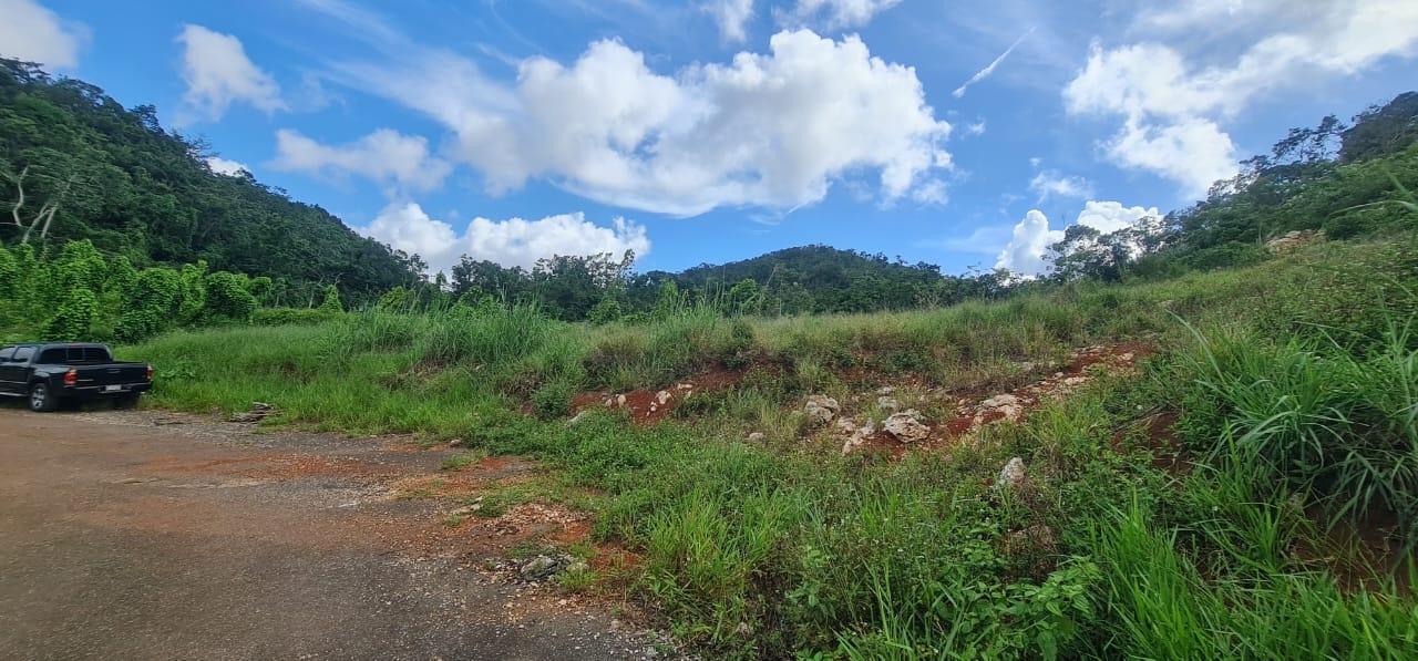 Prime-Residential-Lot-for-Sale-in-Manchester-Jamaica-2-Acres Seventh image of 6 Hatfield in Mandeville, Manchester, Jamaica - property is For Sale