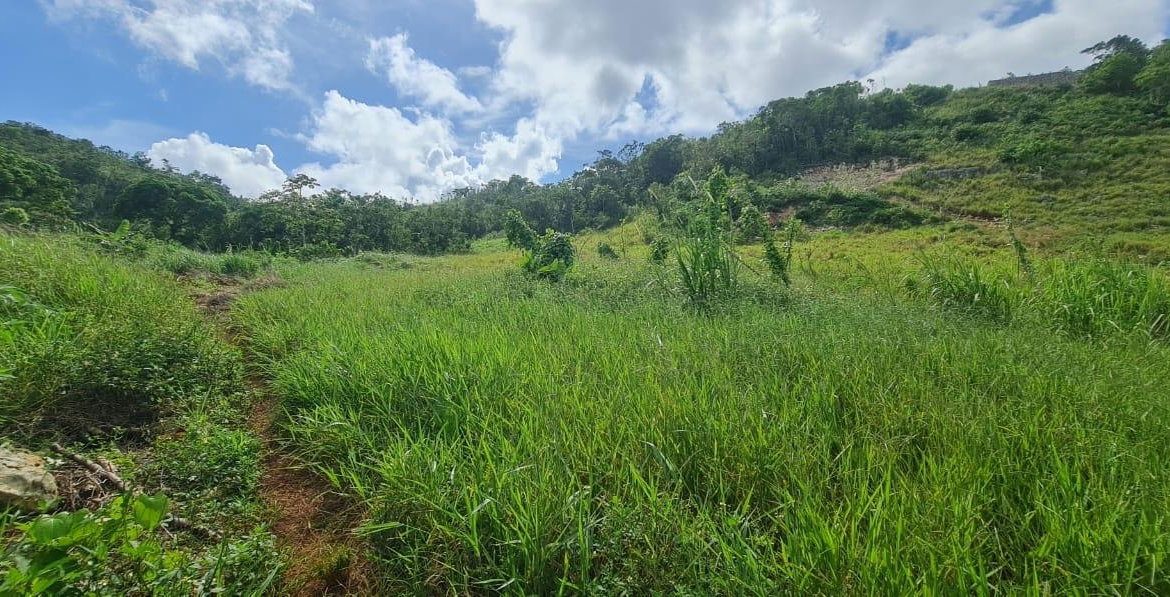 Eighth image of 6 Hatfield in Mandeville, Manchester, Jamaica - property is For Sale