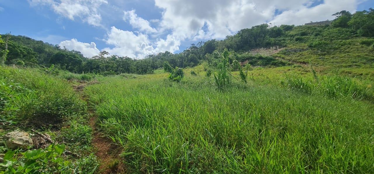 Prime-Residential-Lot-for-Sale-in-Manchester-Jamaica-2-Acres Eighth image of 6 Hatfield in Mandeville, Manchester, Jamaica - property is For Sale