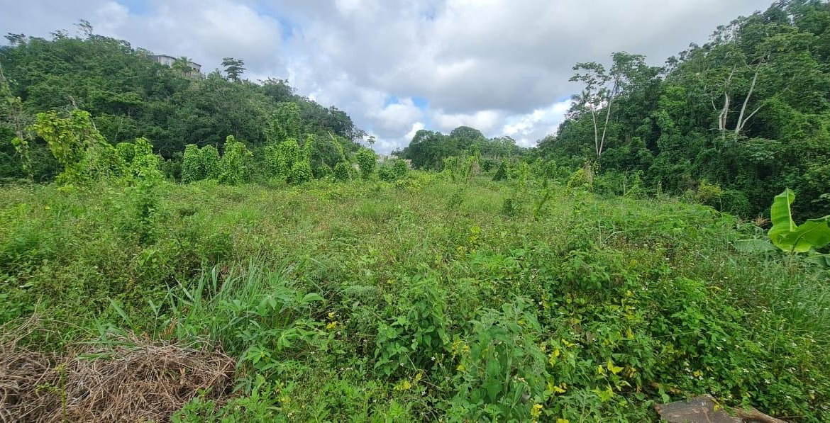 Ninth image of 6 Hatfield in Mandeville, Manchester, Jamaica - property is For Sale