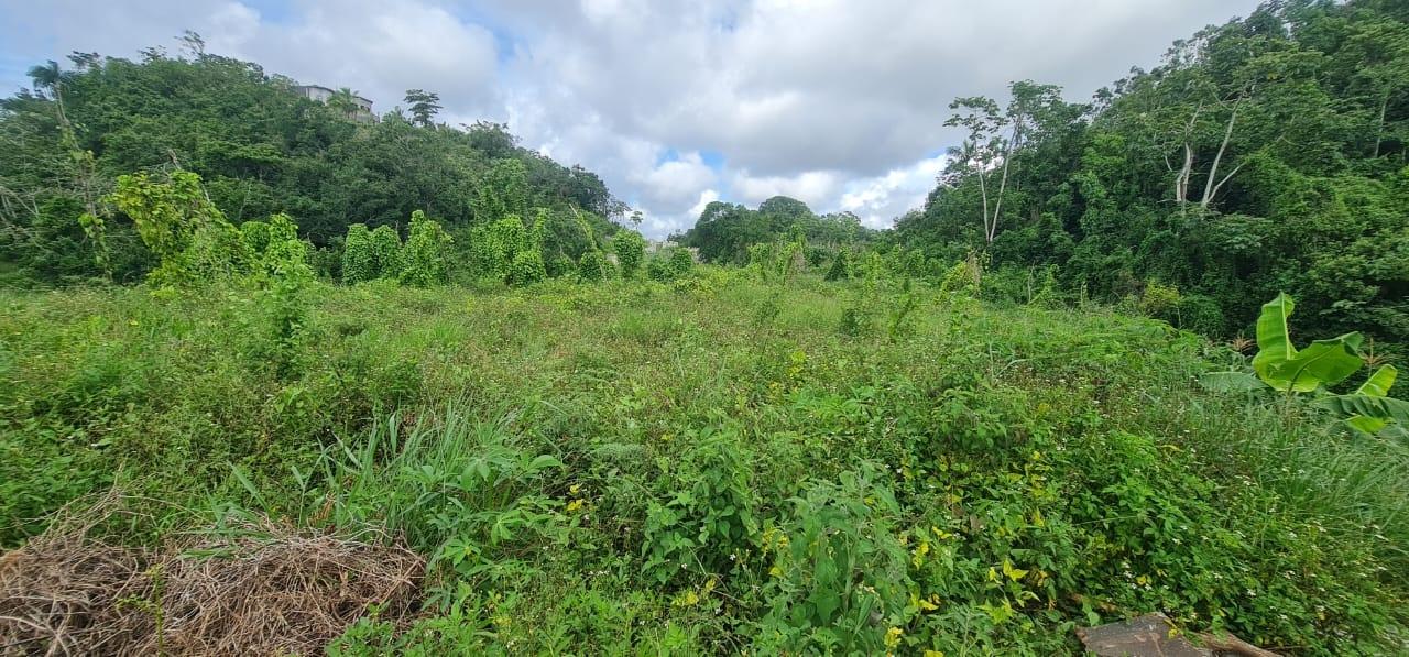 Prime-Residential-Lot-for-Sale-in-Manchester-Jamaica-2-Acres Ninth image of 6 Hatfield in Mandeville, Manchester, Jamaica - property is For Sale