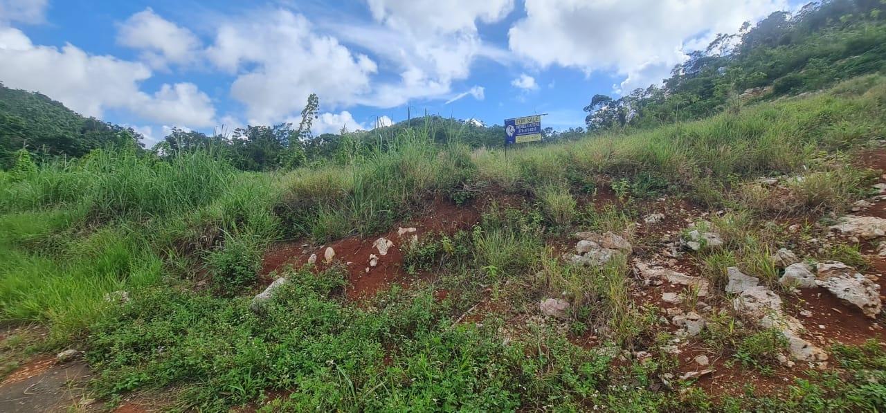 Prime-Residential-Lot-for-Sale-in-Manchester-Jamaica-2-Acres Tenth image of 6 Hatfield in Mandeville, Manchester, Jamaica - property is For Sale