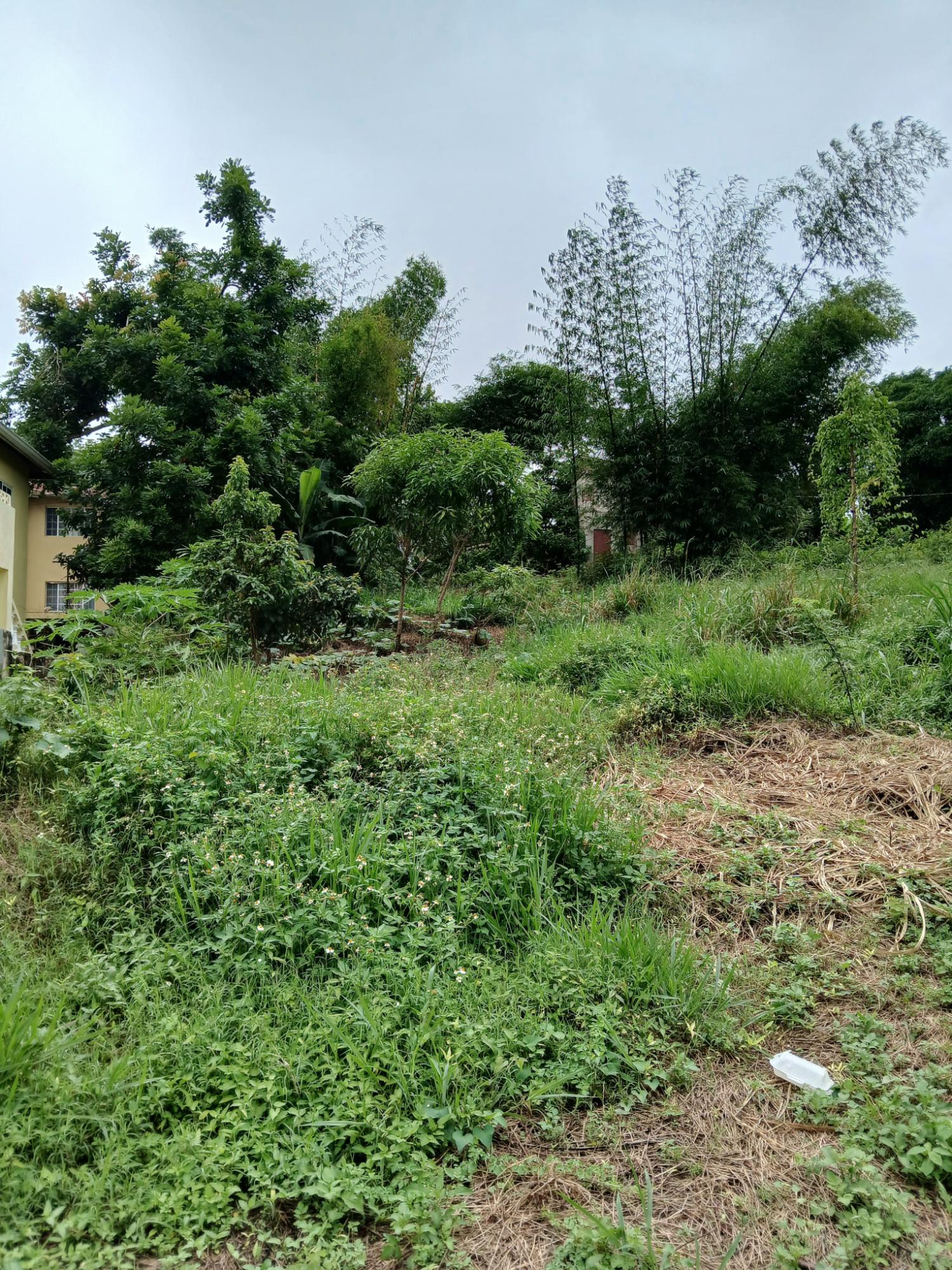 Third image of 2 Battersea Mandeville in Mandeville, Manchester, Jamaica - property is For Sale