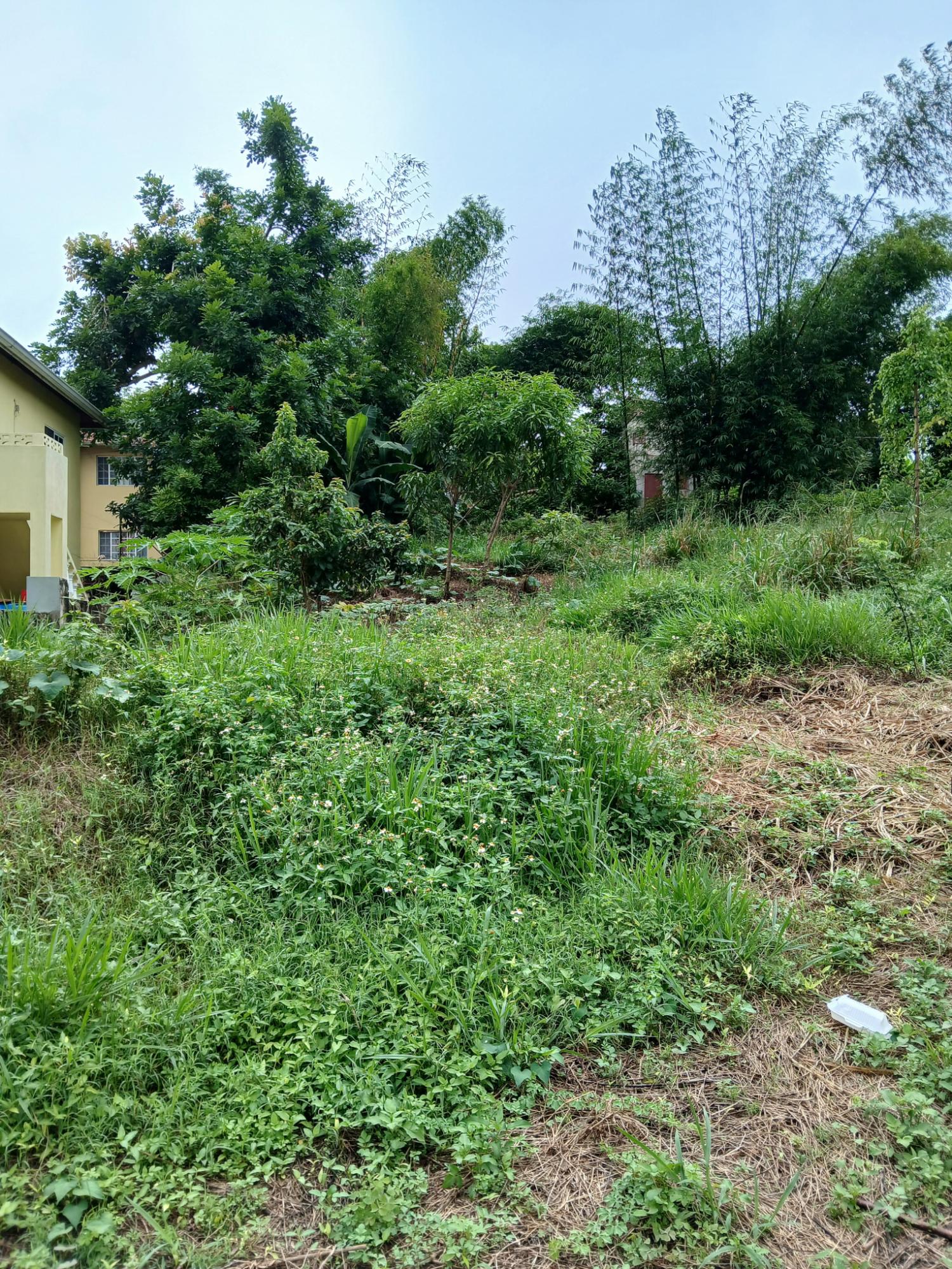 Fourth image of 2 Battersea Mandeville in Mandeville, Manchester, Jamaica - property is For Sale