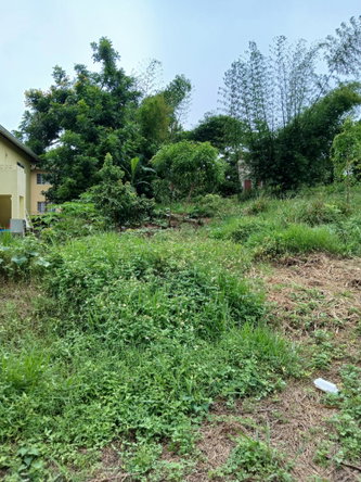Fourth image of 2 Battersea Mandeville in Mandeville, Manchester, Jamaica - property is For Sale