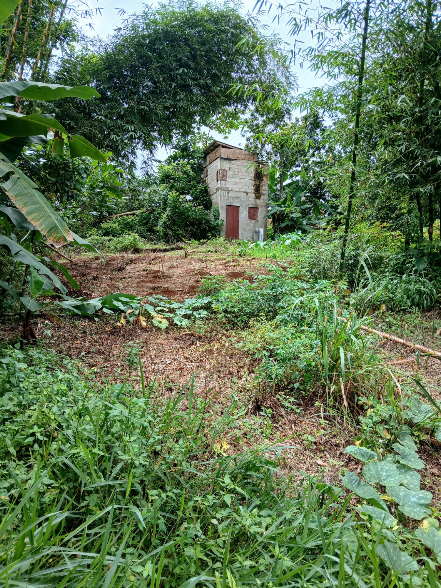 Fifth image of 2 Battersea Mandeville in Mandeville, Manchester, Jamaica - property is For Sale