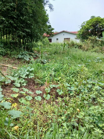 Sixth image of 2 Battersea Mandeville in Mandeville, Manchester, Jamaica - property is For Sale