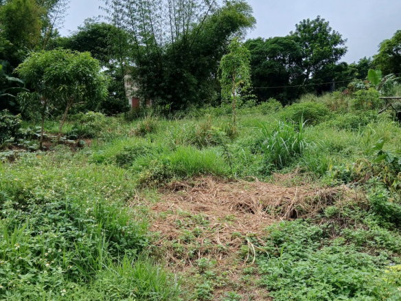 First image of 2 Battersea Mandeville in Mandeville, Manchester, Jamaica - property is For Sale