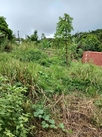 Ninth image of 2 Battersea Mandeville in Mandeville, Manchester, Jamaica - property is For Sale