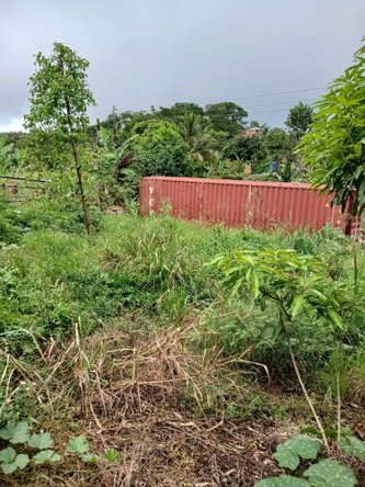 Tenth image of 2 Battersea Mandeville in Mandeville, Manchester, Jamaica - property is For Sale