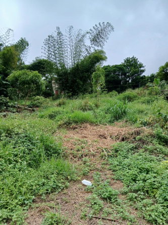 First image of 2 Battersea Mandeville in Mandeville, Manchester, Jamaica - property is For Sale