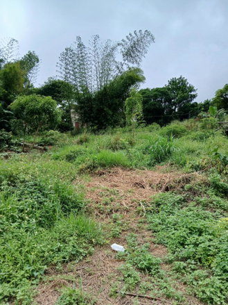 First image of 2 Battersea Mandeville in Mandeville, Manchester, Jamaica - property is For Sale