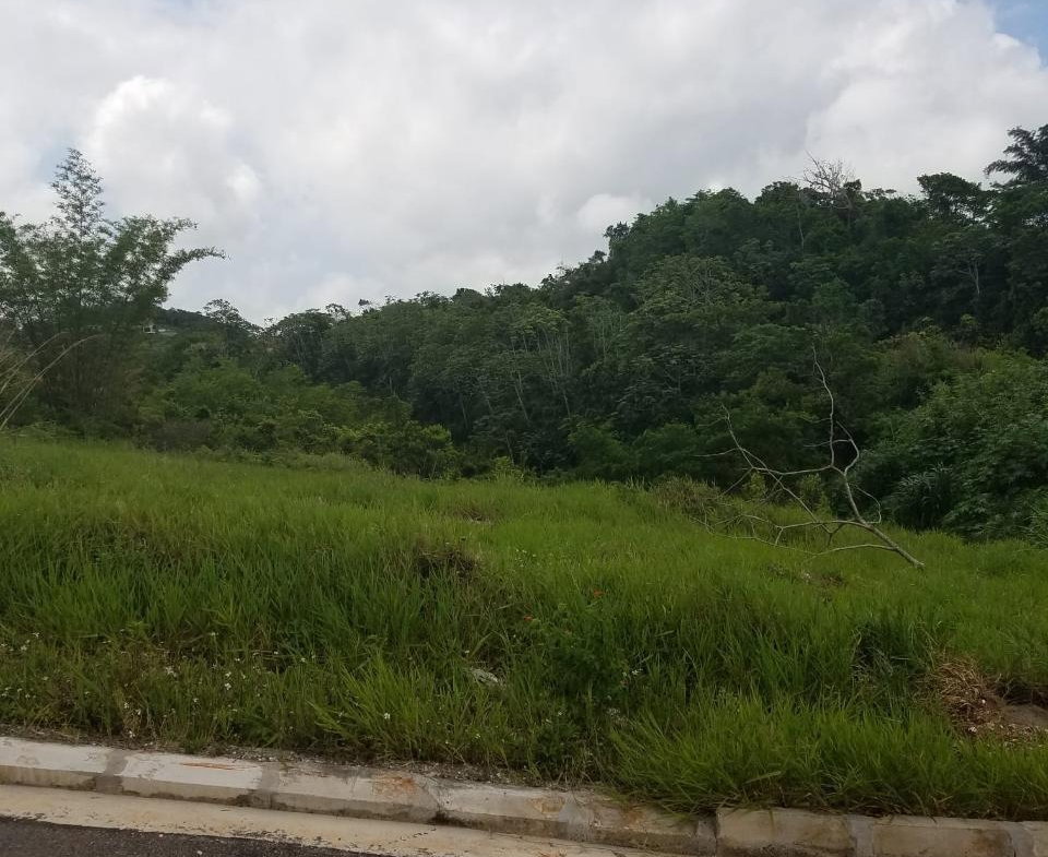 Third image of Moorlands Estate Phase 3 in Moorlands Phase 3, Manchester, Jamaica - property is For Sale