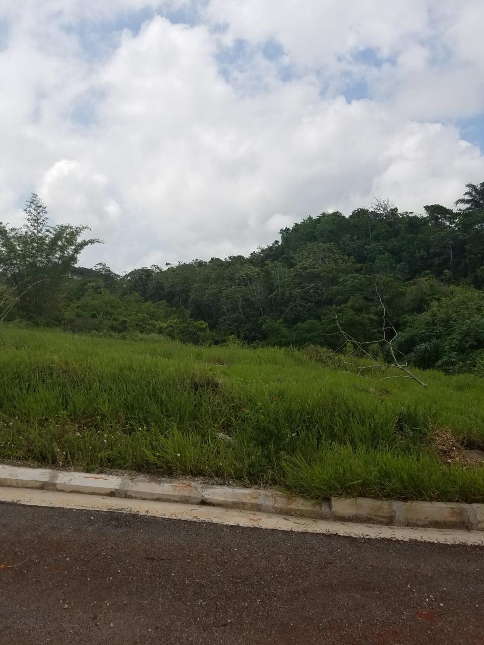 Prime-Residential-Lot-for-Sale-in-Mandevilles-Moorlands-Phase-3 Third image of Moorlands Estate Phase 3 in Moorlands Phase 3, Manchester, Jamaica - property is For Sale