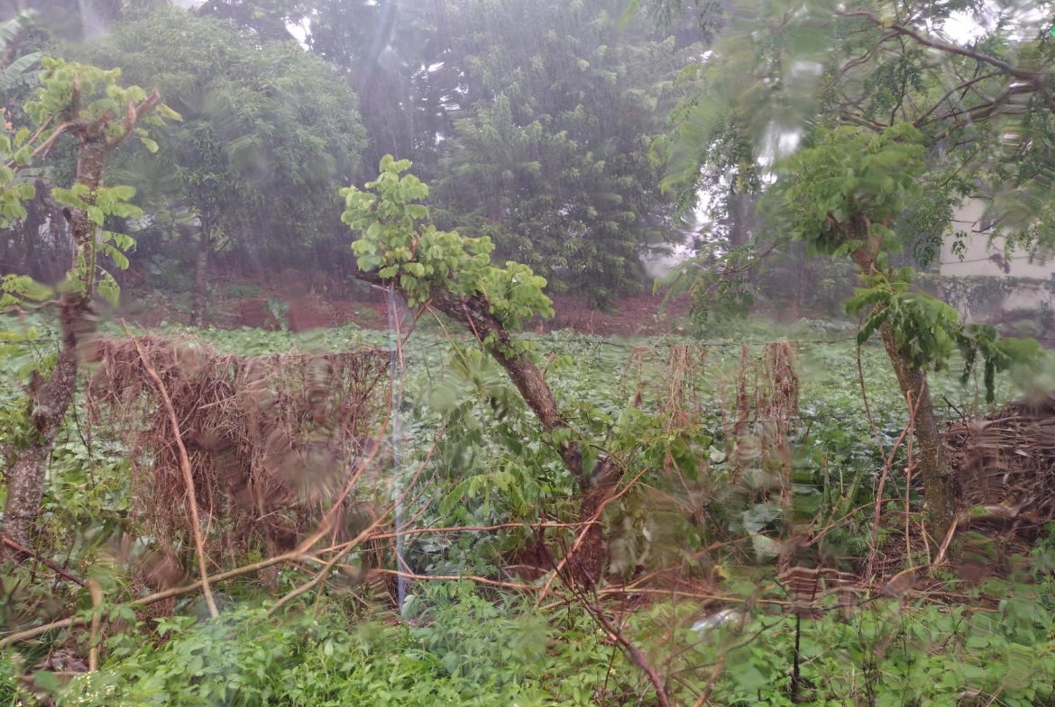Second image of Lot#-198 Nightingale Drive in Mandeville, Manchester, Jamaica - property is For Sale