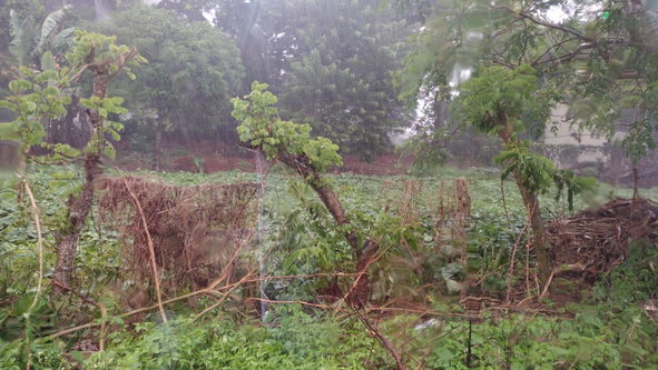 Second image of Lot#-198 Nightingale Drive in Mandeville, Manchester, Jamaica - property is For Sale