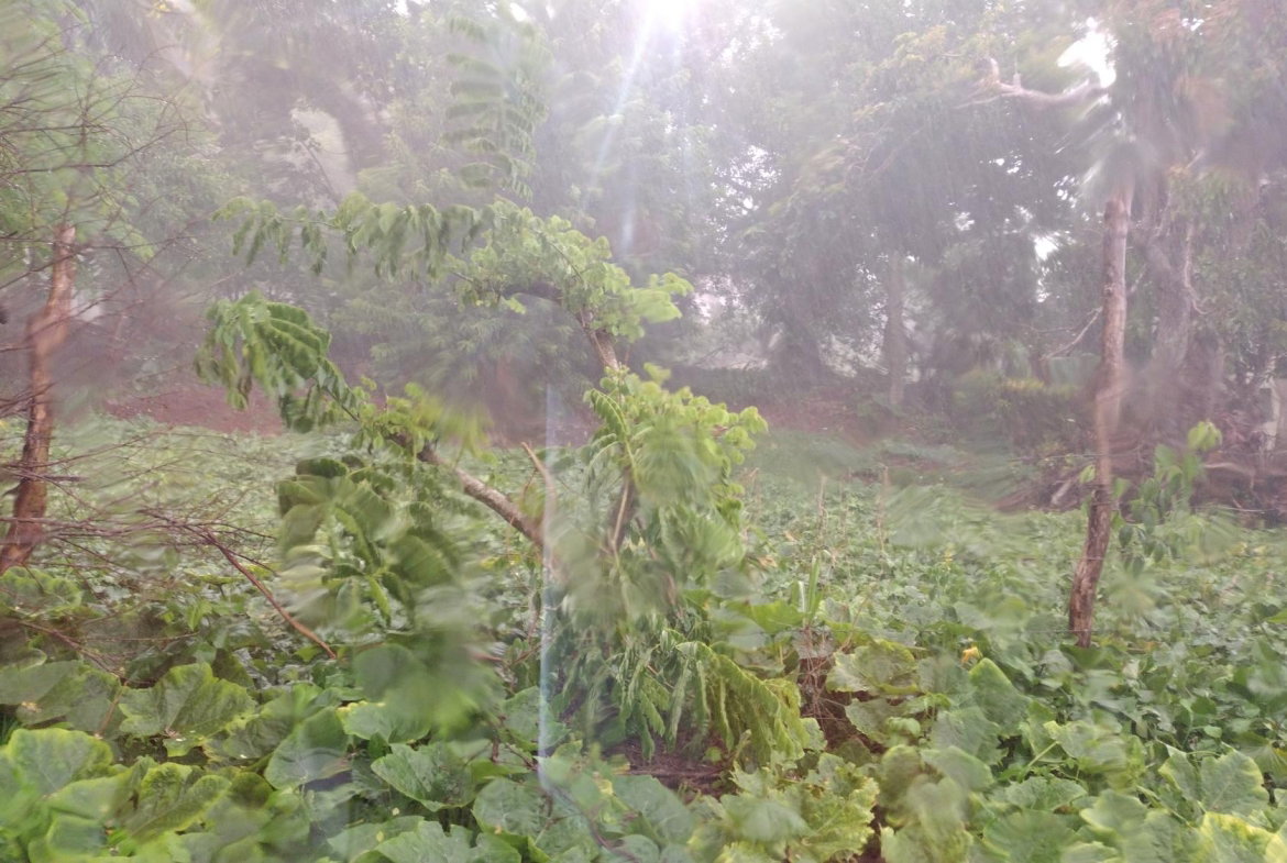 First image of Lot#-198 Nightingale Drive in Mandeville, Manchester, Jamaica - property is For Sale