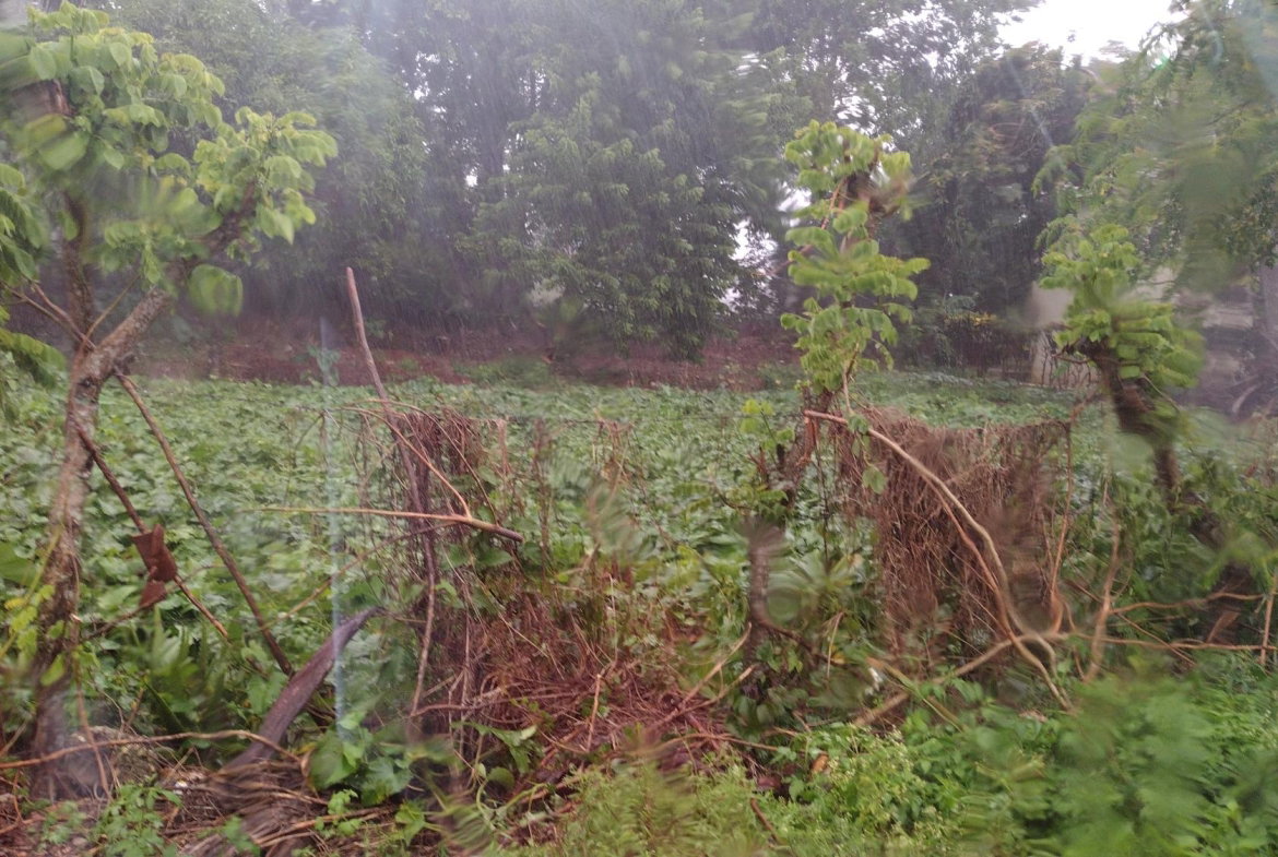Third image of Lot#-198 Nightingale Drive in Mandeville, Manchester, Jamaica - property is For Sale