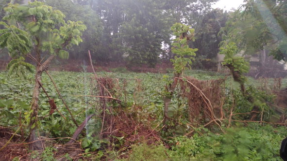 Third image of Lot#-198 Nightingale Drive in Mandeville, Manchester, Jamaica - property is For Sale