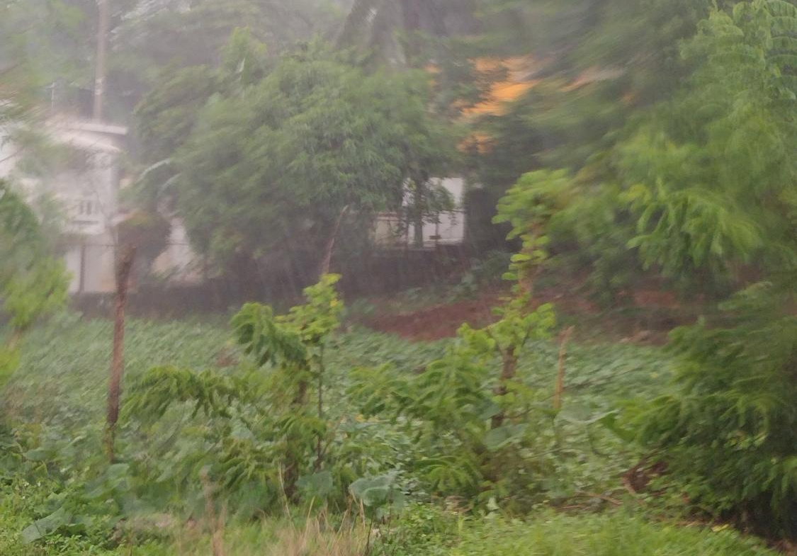 Fourth image of Lot#-198 Nightingale Drive in Mandeville, Manchester, Jamaica - property is For Sale