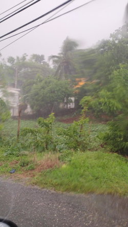 Fourth image of Lot#-198 Nightingale Drive in Mandeville, Manchester, Jamaica - property is For Sale