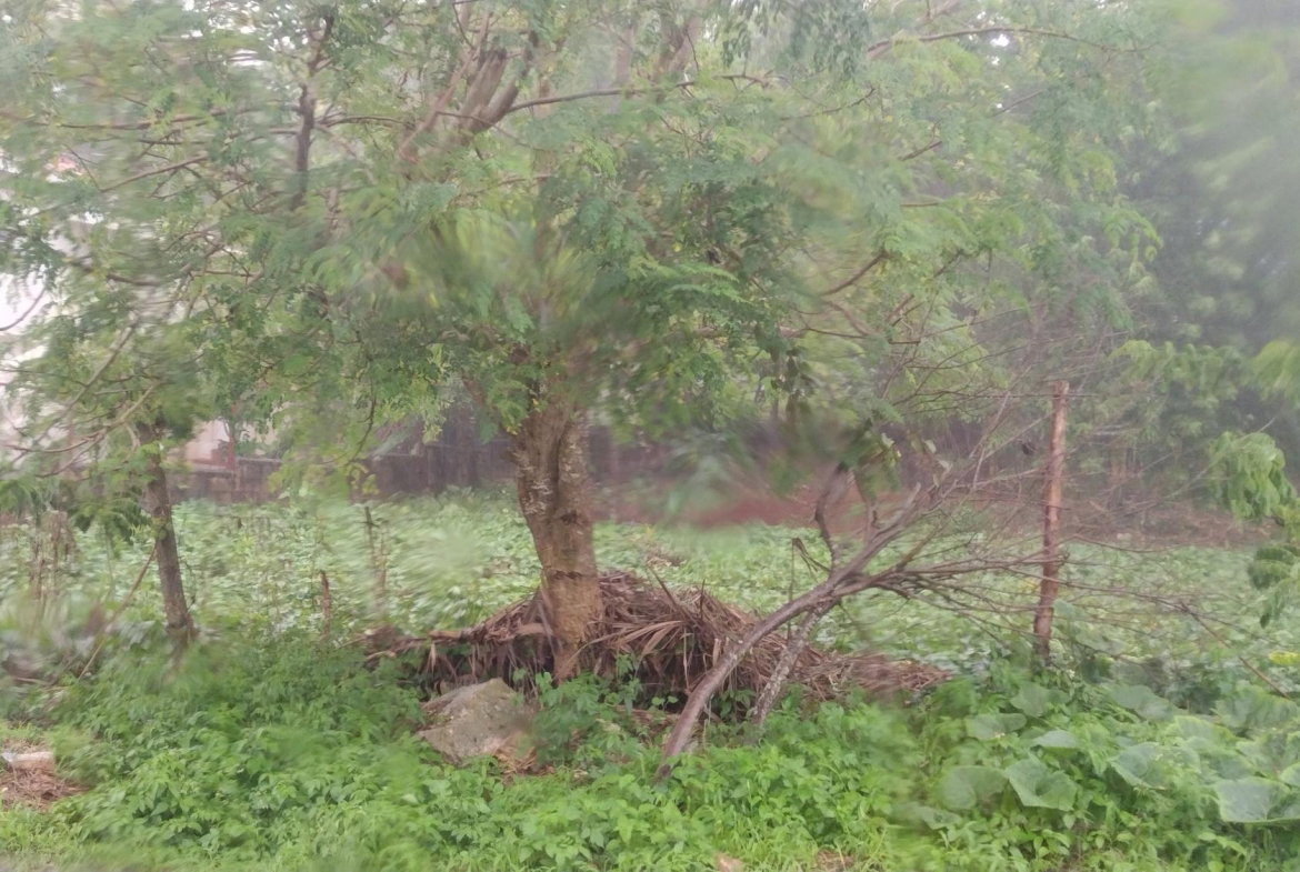 Fifth image of Lot#-198 Nightingale Drive in Mandeville, Manchester, Jamaica - property is For Sale